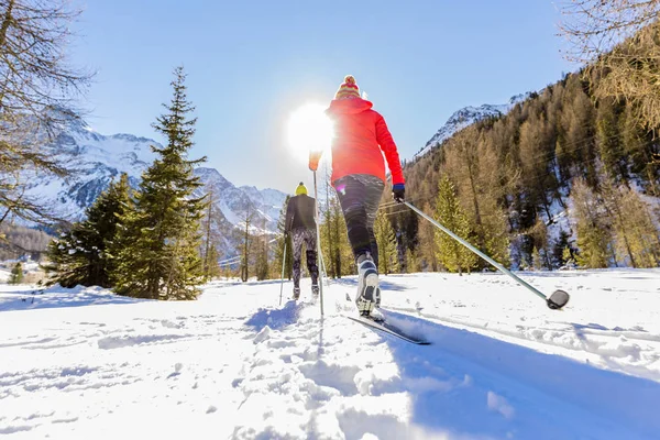 Een groep van de familie van grensoverschrijdende land skiërs op de ochtend van een zonnige winter — Stockfoto