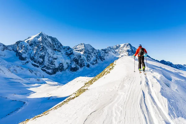 Dağcı backcountry Kayak ile karlı bir sırt boyunca yürüyüş 