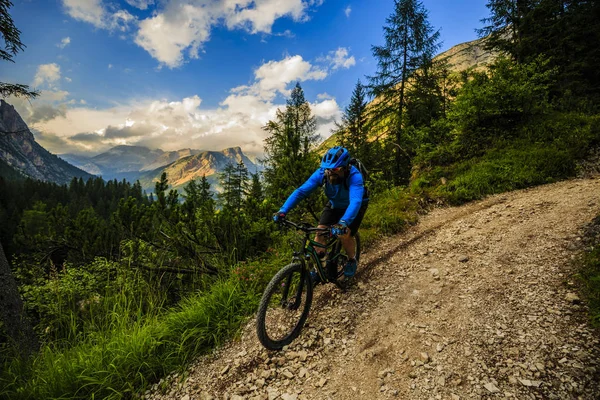 サイクリング、マウンテン バイクに乗っての単一の道のサイクリストの表示します。 — ストック写真