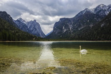 Bahar bakış Lago Dobbiaco, Dolomites, göl dağ landcape 