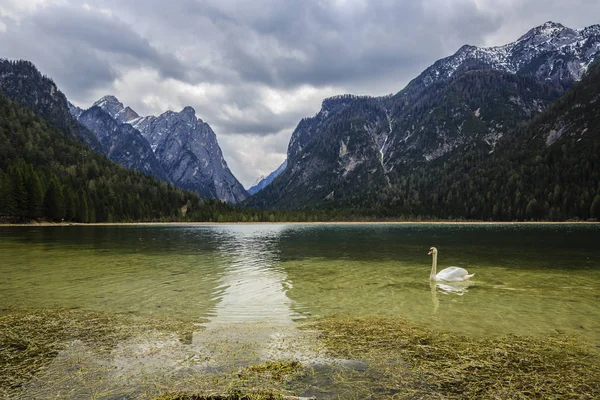 Tavaszi kilátással Lago Dobbiaco, Dolomitok, tó hegyi landcape — Stock Fotó