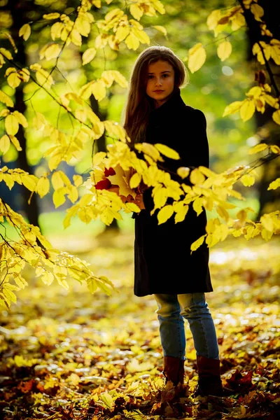 Menina de outono jogando no parque da cidade. Queda retrato adolescente de happ — Fotografia de Stock