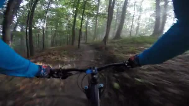 POV Bicicleta de montanha de ciclismo uma trilha de enduro de fluxo off road . — Vídeo de Stock