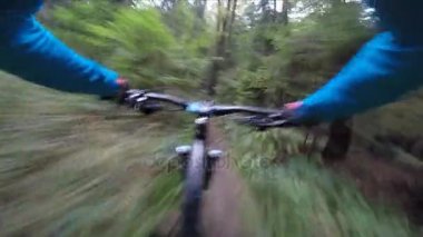 Dağ bisikleti bir off road POV Bisiklete binme akışı enduro iz. 