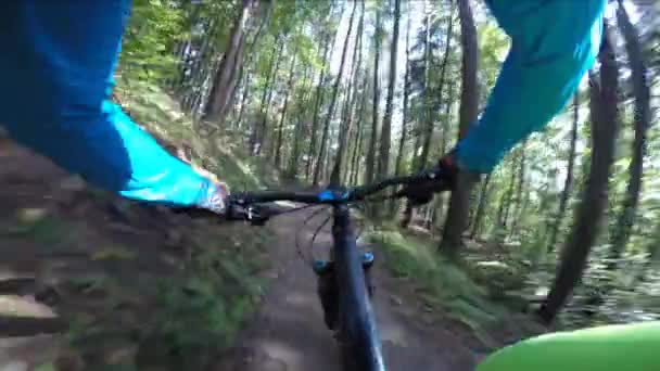 POV Bicicleta de montanha de ciclismo uma trilha de enduro de fluxo off road . — Vídeo de Stock