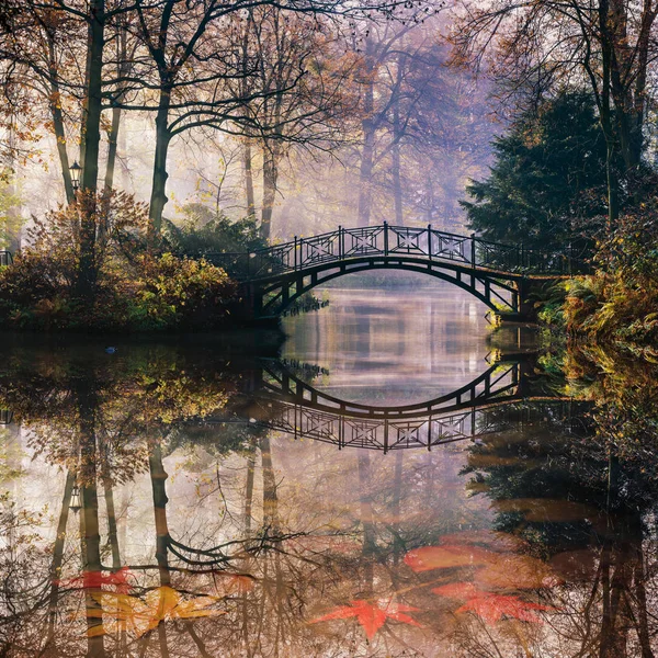 Sunrise golden autumn scene in the park, with bridge over pond a