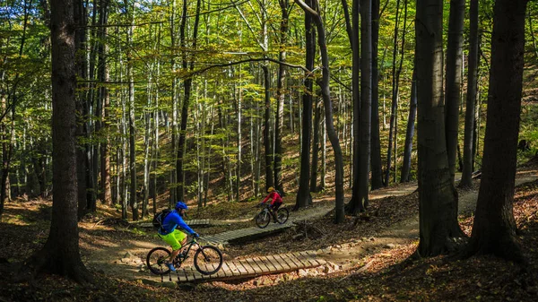 Cyclisme en automne montagnes paysage forestier. Homme vélo VTT enduro piste de flux. Activité sportive de plein air . — Photo