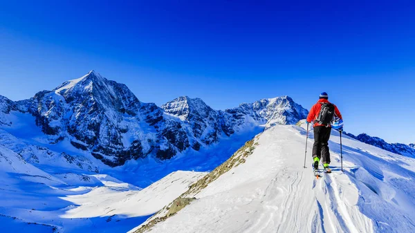 Dağ kayak Ski ile karlı bir sırt boyunca yürüyüş