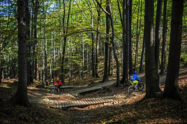 Bisiklete binme, dağ bisikletçinin çift döngü üzerinde sonbahar ormanda iz. 