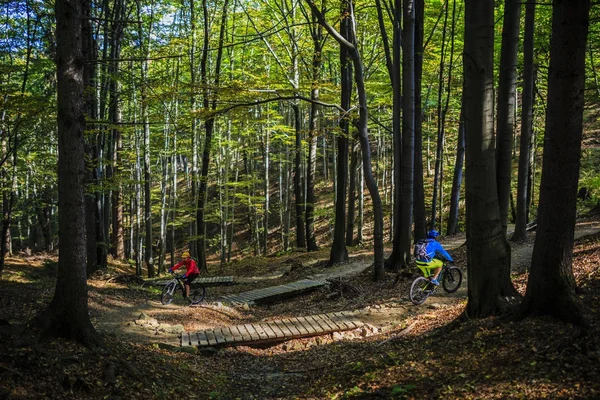 Bisiklete binme, dağ bisikletçinin çift döngü üzerinde sonbahar ormanda iz. 