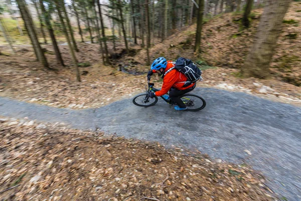 이른 봄 산 숲 l에 자전거를 타고 산악 자전거 — 스톡 사진