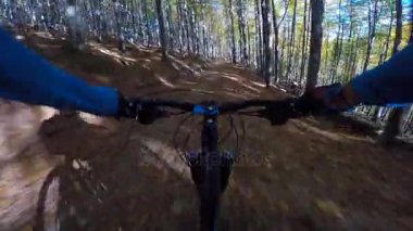 Pov Mountainbiker sonbahar dağ orman manzara içinde Bisiklete binme. Adam Bisiklete binme Mtb akışı iz parça. Açık spor aktivitesi.