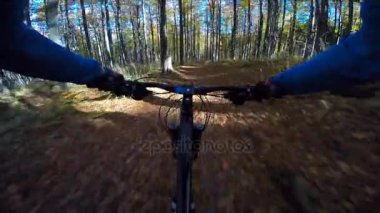 Pov Mountainbiker sonbahar dağ orman manzara içinde Bisiklete binme. Adam Bisiklete binme Mtb akışı iz parça. Açık spor aktivitesi.