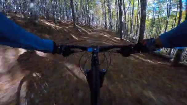 POV Mountain biker ciclismo no outono montanhas paisagem florestal. Trilho de fluxo MTB para ciclismo de homem. Actividades desportivas ao ar livre . — Vídeo de Stock