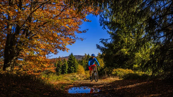 Велосипедный спорт в горах осенью лесной пейзаж. Человек — стоковое фото