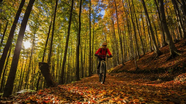 サイクリング、山秋の森のサイクル道で自転車に乗る女. — ストック写真