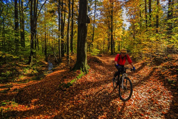 サイクリング、山秋の森のサイクル道で自転車に乗る女. — ストック写真
