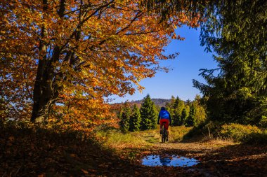 Sonbahar dağ orman manzara içinde Bisiklete binme Mountainbiker. Adam