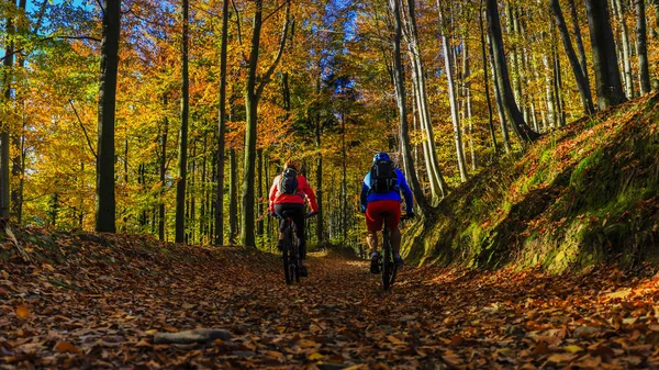 Cycling, mountain biker couple on cycle trail in autumn forest. — Stock Photo, Image