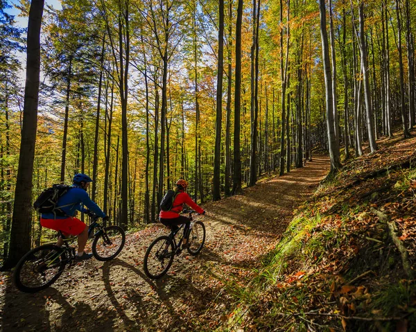Bisiklete binme, dağ bisikletçinin çift döngü üzerinde sonbahar ormanda iz. 