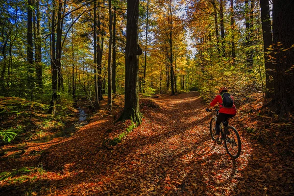 Fietsen, mountain biking vrouw op fietsweg in herfst bos. — Stockfoto