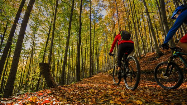 Cycling, mountain biker couple on cycle trail in autumn forest. 