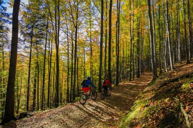 Bisiklete binme, dağ bisikletçinin çift döngü üzerinde sonbahar ormanda iz. 