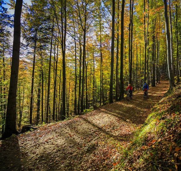 Cycling, mountain biker couple on cycle trail in autumn forest. — Stock Photo, Image