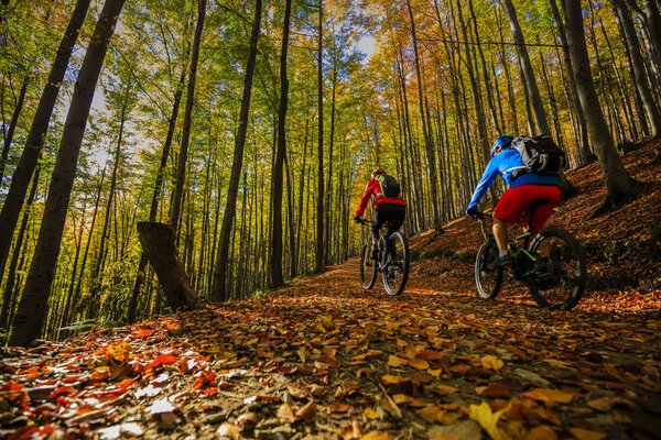 Cycling, mountain biker couple on cycle trail in autumn forest. 