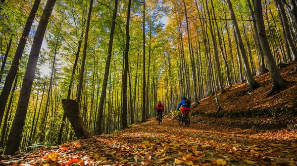 Ciclismo, casal de ciclistas de montanha em trilha de bicicleta na floresta de outono . — Fotografia de Stock