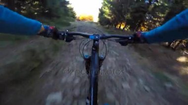 Pov Mountainbiker sonbahar dağ orman manzara içinde Bisiklete binme. Adam Bisiklete binme Mtb akışı iz parça. Açık spor aktivitesi.