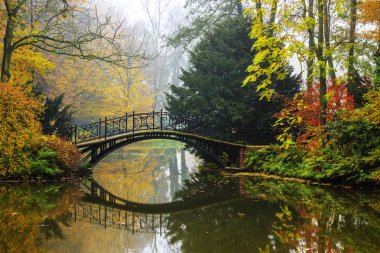 Güzel eski köprü, sisli sonbahar yatay, doğal görünümünü 