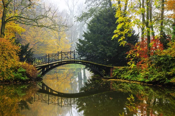 Vista panorámica del paisaje de otoño brumoso con hermoso puente viejo — Foto de Stock