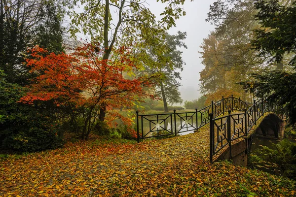 Vista panorámica del paisaje de otoño brumoso con hermoso puente viejo —  Fotos de Stock