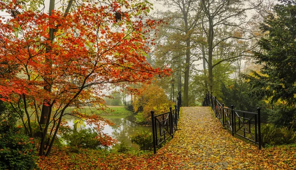 Scenic view of misty autumn landscape with beautiful old bridge — Stock Photo, Image