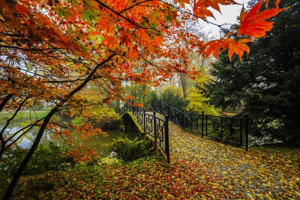 Vista panorámica del paisaje de otoño brumoso con hermoso puente viejo — Foto de Stock