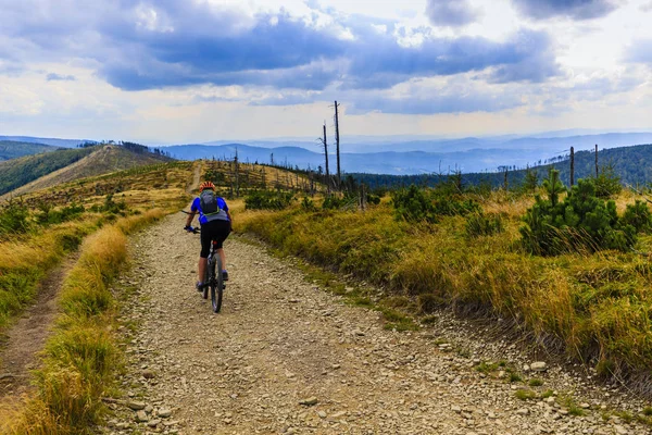 Bisiklete binme, dağ bikeing kadın sonbahar ormandaki döngüsü izinde. — Stok fotoğraf