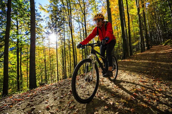 Jazda na rowerze, Góra kobieta bikeing na szlak rowerowy w lesie jesienią. — Zdjęcie stockowe