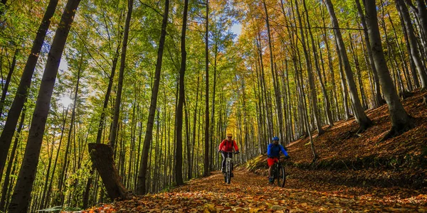 Ciclismo, ciclista de montaña pareja en ruta ciclista en el bosque de otoño . — Foto de Stock