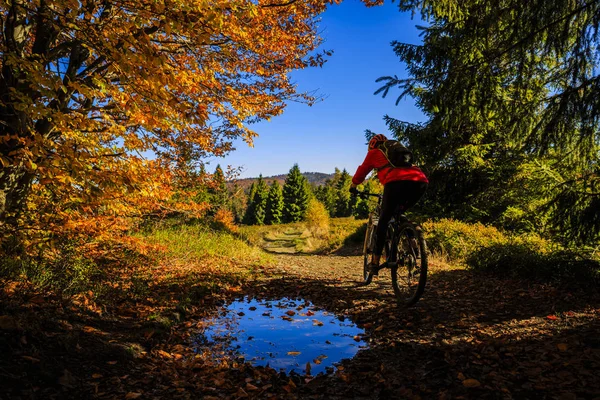 Kerékpározás, kerékpár nyomvonal őszi erdőben hegyi bikeing nő. — Stock Fotó