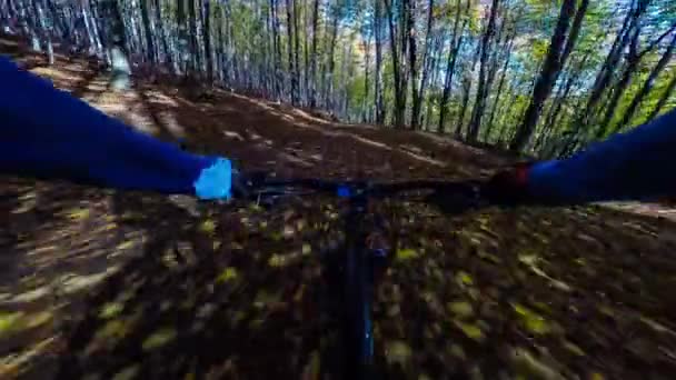 Mountain biker cycling in autumn mountains forest landscape. Man cycling MTB flow trail track. Outdoor sport activity. — Stock Video