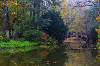 Güzel eski köprü, sisli sonbahar yatay, doğal görünümünü 