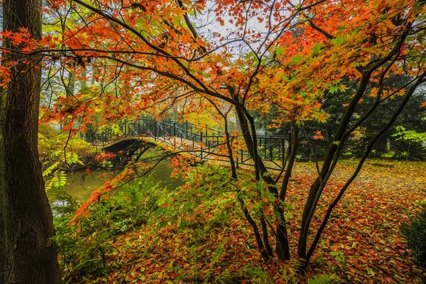 Vista panorâmica da paisagem nebulosa do outono com bela ponte velha — Fotografia de Stock