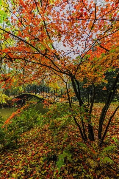 美しい古い橋と霧の秋の風景の美しい景色 — ストック写真