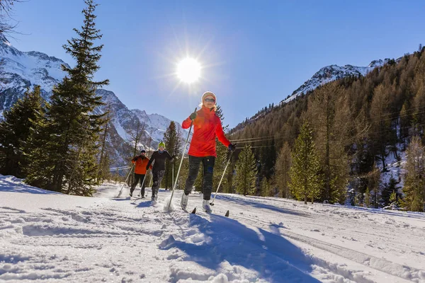 Een groep van de familie van grensoverschrijdende land skiërs op de ochtend van een zonnige winter — Stockfoto
