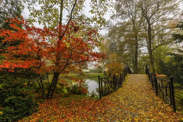 Vista panorámica del paisaje de otoño brumoso con hermoso puente viejo — Foto de Stock