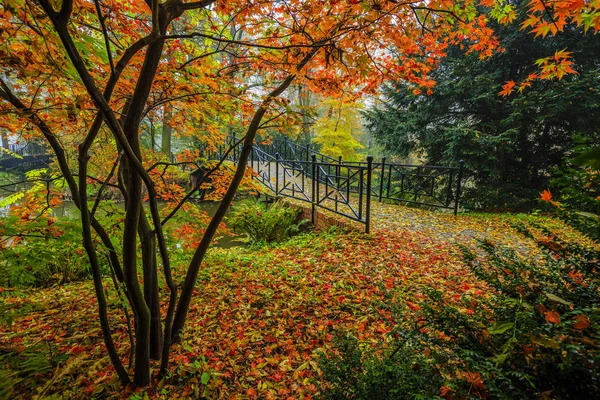 Vista panorámica del paisaje de otoño brumoso con hermoso puente viejo — Foto de Stock