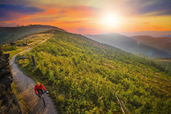 Mountainbiken fietsen bij zonsondergang in de zomer bergen bos lan — Stockfoto