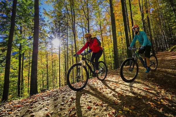 사이클링가 사이클 트레일에 Bikeing 자전거가 숲에서 자전거 Mtb 오르막 — 스톡 사진