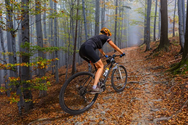 Hegyi Kerékpáros Lovaglás Kerékpár Őszi Hegység Erdős Táj Nőt Mtb — Stock Fotó